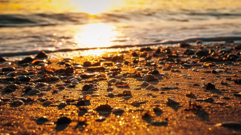 amber on liepaja beach in a sunset