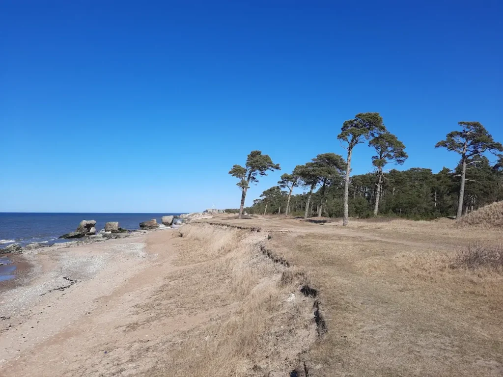 Sandy beach in Karosta with wind-shaped trees and low dunes and the Northern Forts sinking into the sea