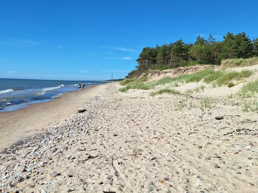 šķedes beach north of liepaja showing clear blue sky, large dunes, and trees